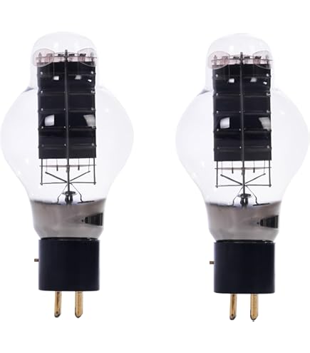 Amazon.co.jp: トライオード 300B【1本・化粧箱無し】 PSVANEWE300B