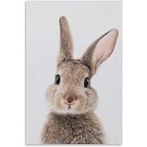 退屈とうさぎの孤独 限定20部 絵画 版画 リビング 室内 インテリア 部屋 Amazon.co.jp: ウサギのキャンバス ウサギの動物の絵画ポスター