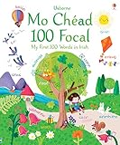 My First 100 Words in Irish (Big Picture Books)