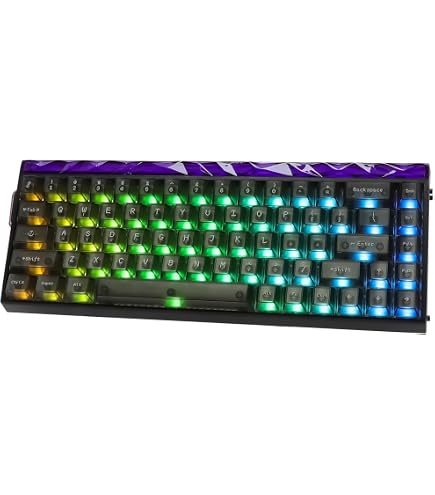 Amazon | AULA WIN60 HE PRO 60%メカニカルゲーミングキーボード 有線