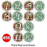 GREEN RED GINGHAM Baby Month Onesie Stickers Baby Shower Gift Photo Shower Stickers, baby shower gif