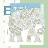 Oopsy Daisy Canvas Wall Art, Exotic Elephant, 18' x 18' [並行輸入品]