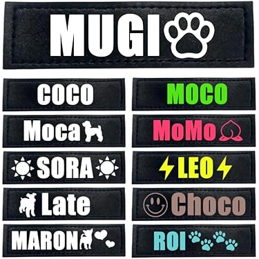 Amazon.co.jp 売れ筋ランキング: 犬用名札・IDタグ の中で最も人気の