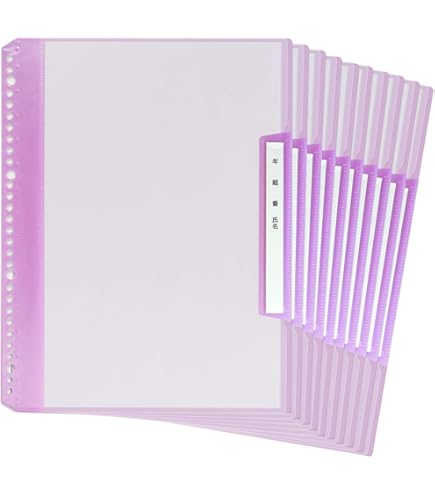 Amazon | プラス 年組氏名リフィール式クリアーファイル 縦入 6