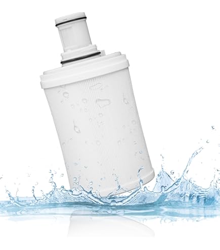 Amazon | アムウェイ Amway eSpring浄水器用 フィルター E4622J