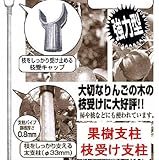 枝受け支柱 果樹支柱 φ33×2100mm 20本入れ