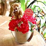 パラボッセ 遅れてごめんね 母の日 カーネーション 赤 フラワーアレンジメント くま 直径17cm x 高さ 23cm