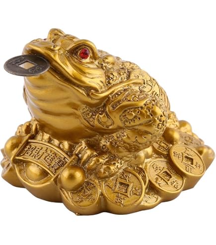 Amazon.co.jp: 信楽焼 置物 金運蛙(小) 幅7x奥7.5x高さ6.5cm 566-05