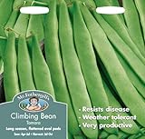 MFVE 英国ミスターフォザーギルズシード Climbing Bean Tamara クライミング・ビーン（インゲンマメ）・タマラ
