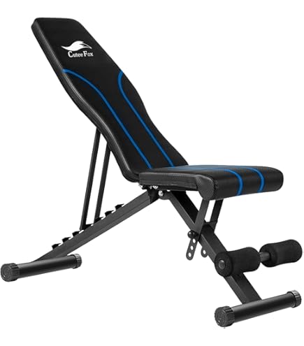 Amazon.co.jp: ファイティングロード アブバックベンチ- TRUST 赤・黒