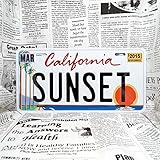 好きな文字に出来るアメリカナンバープレート / 大(US車用)-31x15cm / カリフォルニア・ヤシの木