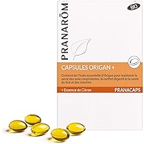 61w4fYaE21L._AC_UL210_SR210,