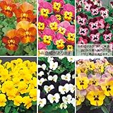 タキイ種苗(Takii Shubyo) 花タネセット FTT442SET