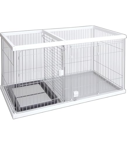 Amazon.co.jp: トムキャット トムクレイト6000 : ペット用品