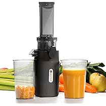 Amazon.co.jp: Ventray Ginnie スロージューサー 低速回転 高搾汁率