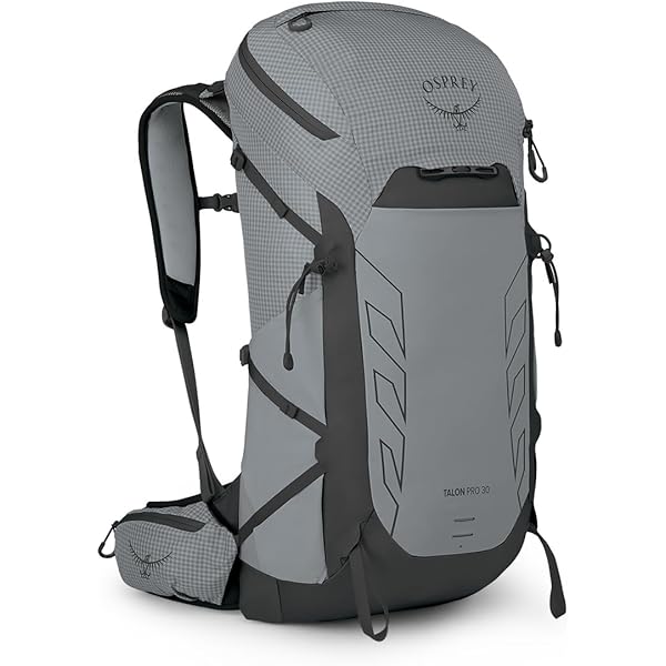 Amazon.co.jp: [オスプレー] タロンプロ20 シルバーライニング
