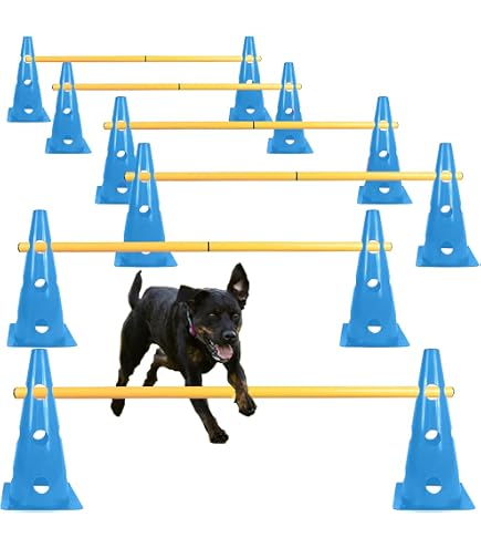 Amazon | 【JKC公認訓練士 推奨】犬用 アジリティ スラローム 障害物
