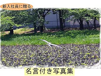 新入社員に贈る 名言付き写真集 花澤 こゆき Kindle本 Kindleストア Amazon 新入社員に贈る 名言付き写真集 花澤 こゆき Kindle本 Kindleストア Amazon