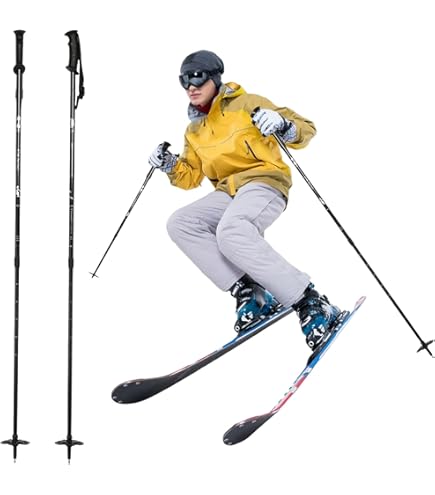 Amazon | SCOTT(スコット) スコット スキーポール PROGUIDE SRS 伸縮式