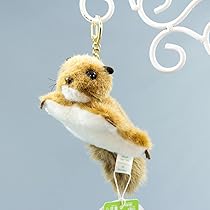 たけのこ 71VzqFw-FFL._UF350,350_QL80_.jpg