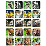 Eureka赤ちゃん動物実写真のテーマ(セットof 36 )