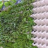 Kuulee 縦型壁プランター 垂直植木鉢庭園プランター環境にやさしい耐久性のあるウォールマウントポットためにホームオフィス 4色イエロー