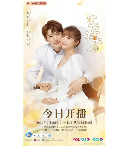 Amazon.co.jp: 中国ドラマ【今日も、君を想ってる】全話 DVD