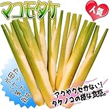 国華園　山菜苗　マコモタケ　2株【※発送が国華園からの場合のみ正規品です】