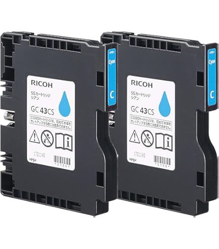 リコー DDインク ブラック500 の12個セット リコー FCB6927-613736 DDインク ブラック500 |エディオン公式通販