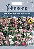 JOFL 英国ジョンソンシード Rock Rose (Helianthemum nummularium) ロック・ローズ （ヘリアンセマム）・ミックス