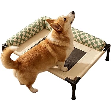 Amazon.co.jp 最新リリース: 犬用ベッド・クッション の新着ランキング