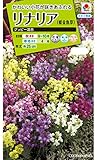 タキイ種苗 リナリアグッピー混合