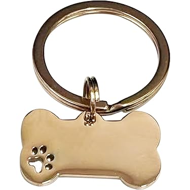 Amazon.co.jp 売れ筋ランキング: 犬用名札・IDタグ の中で最も