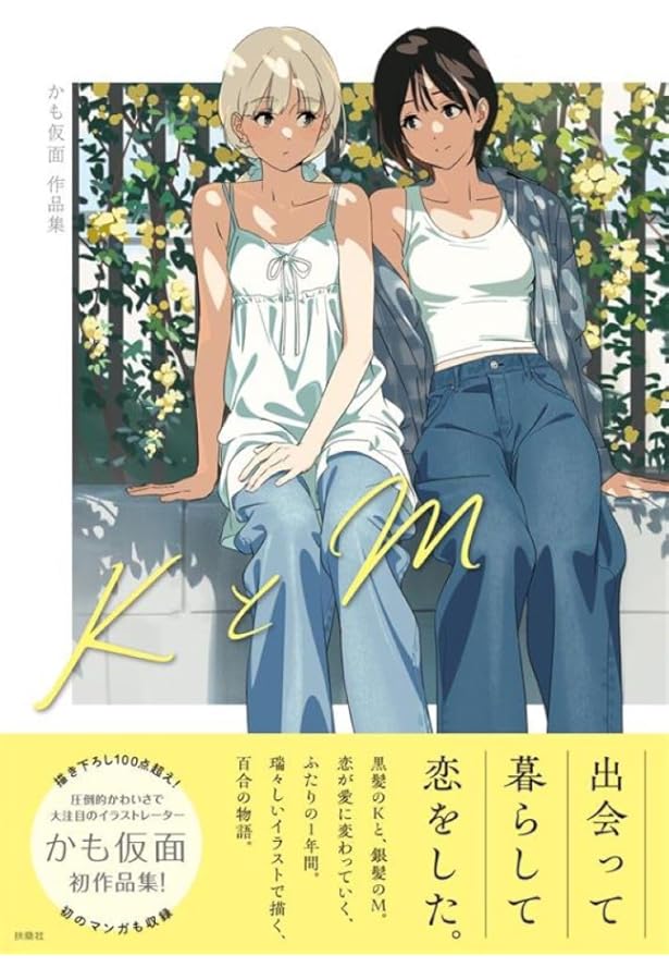 LO画集3on4 -TAKAMICHI LOCAL WORKS- (FLOW COMICS) (TENMA