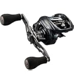 Amazon | ダイワ(DAIWA) 両軸リール 20 ADMIRA A 100XH(2020