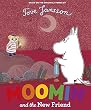 Moomin And His New Friend