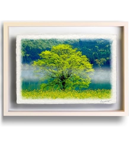 Amazon.co.jp: ロバート・ウッド［世界の名画コレクション］『山