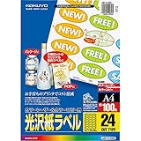コクヨ カラーレーザー カラーコピー ラベル 光沢 24面 楕円 100枚 LBP-G1925