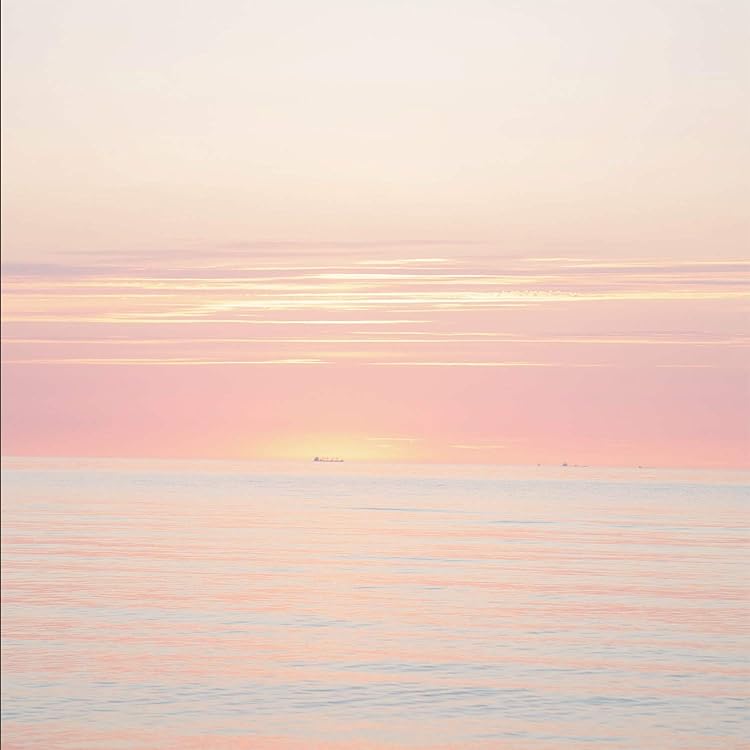 Amazon.co.jp: 音楽のある風景: ミュージック