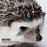 �N�͂Ƃ����� UNISON SQUARE GARDEN