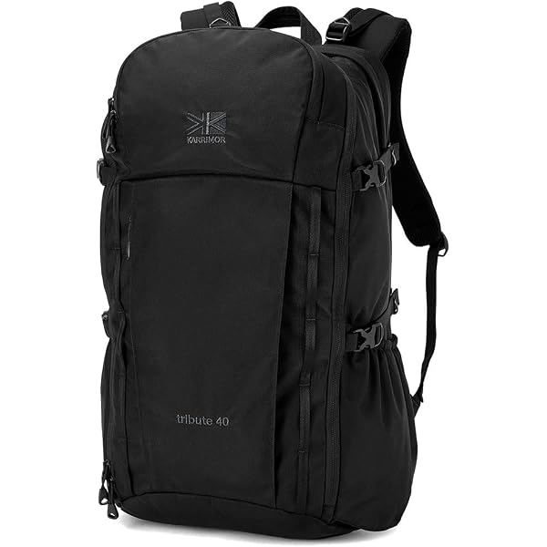 Amazon | [アークテリクス] ARCTERYX マンティス2ウエストパック