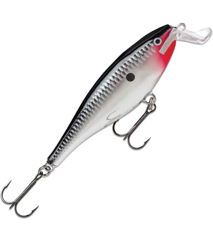 Amazon.co.jp: ラパラ(Rapala) スーパーシャッドラップ SSR14 14cm 45g