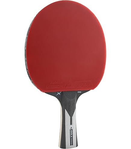 Palio Master 3.0 Ping Pong Paddle - ITTF Approved Racket With Case (Intermediate Level)