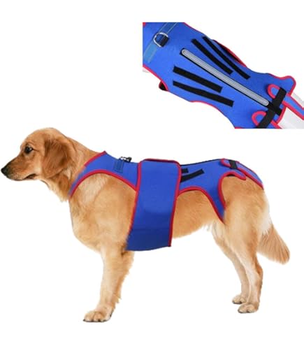 アニフル　わんコル レッド S 犬用 歩行補助ハーネス 介護 ♪未使用美品♪ Amazon | アニフル (anifull) わんコル その他 レッド 犬 M サイズ