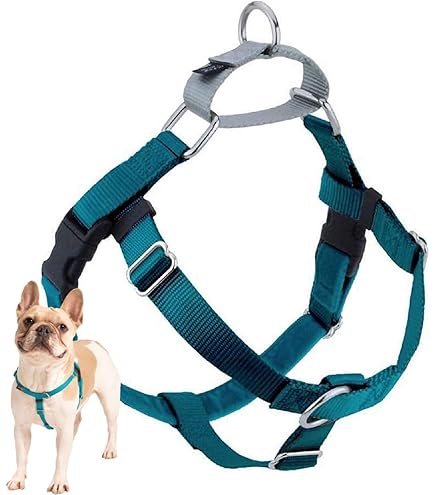 Dog Halti To Stop Pulling HALTI Anatomy Dog Harness With Handle