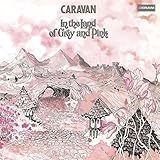 �O���C�ƃs���N�̒n