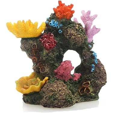 Amazon.co.jp 売れ筋ランキング: 水槽用サンゴ の中で最も人気のある