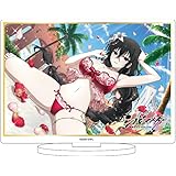 A3 シノビマスター 閃乱カグラ NEW LINK 01 雪不帰[公式イラスト] キャラアクリルフィギュア
