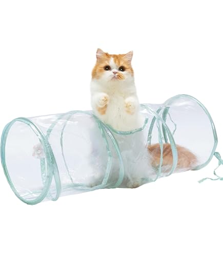 Amazon | 猫壱 ポータブルケージとトイレのセット mofusand モフサンド