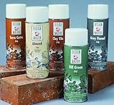 Colortool Floral Spray Paint 12 Ounces-Orange [並行輸入品]